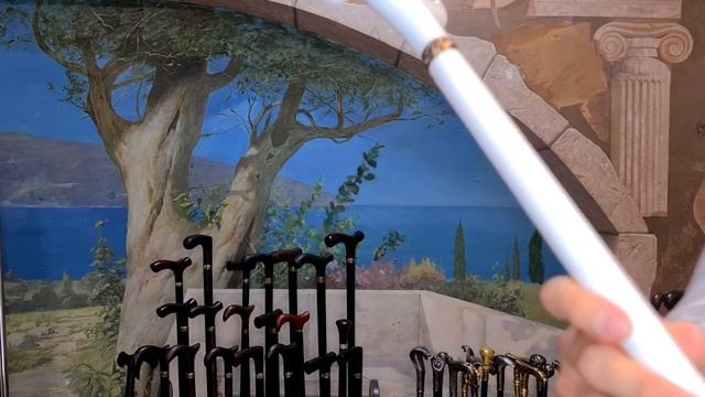 Сверкающая белизна | Трость 