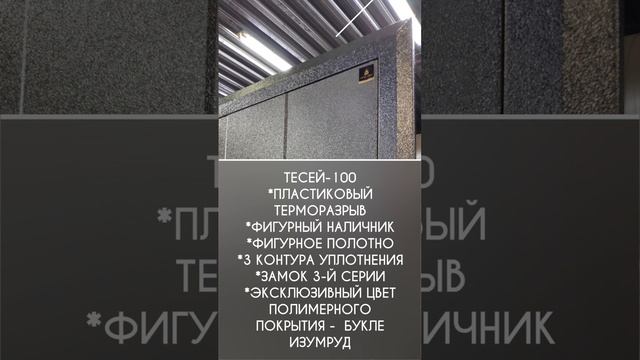 Входная дверь с терморазрывом для частного дома РЕТВИЗАН  Тесей-100.mp4 г.НОВОСИБИРСК