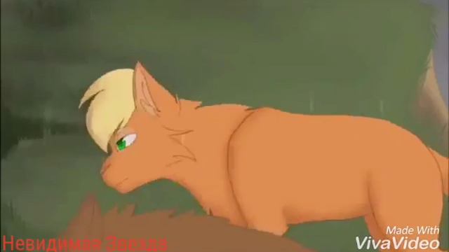 Коты-Воители Белка и Ежевичная Звезда - Скромной быть не в моде
