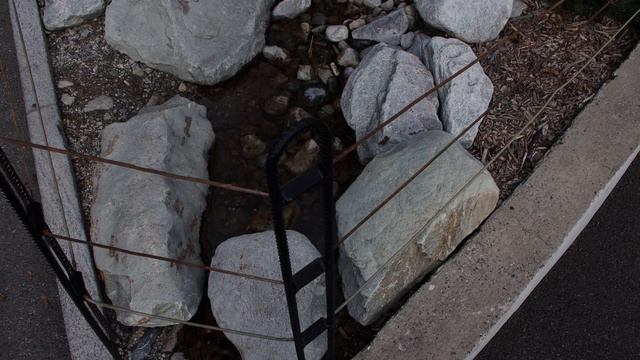 Canon EOS 90D : 4K Test