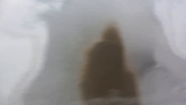 Кулинарная студия