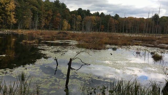 Assabet River National Wildlife Refuge Заповедник дикой природы