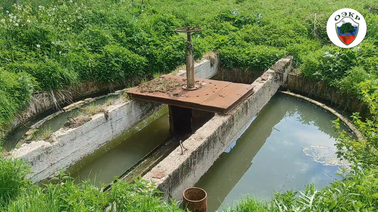 МУТНЫЕ ВОДЫ. ПАРФЁНОВО