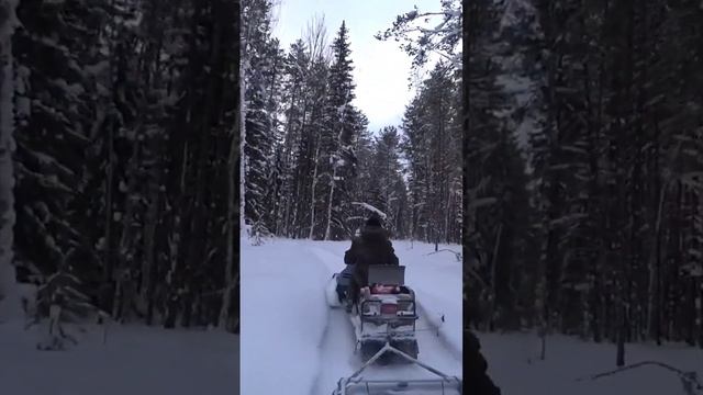 Заезд на таежную избу#рыбалка #охота #тайга #буран покатушки по тайге