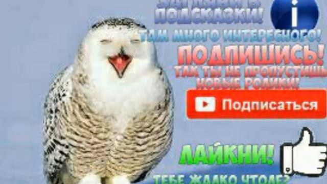 МОЯ КАРТА SKY LAVA СКАЧАТЬ | Битва в небесах | #Minecraft Pe 0.15.x