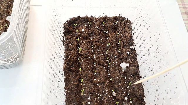 205297eac8f4e99682215316e8d3d8a4