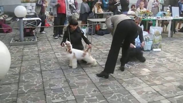 29.09.12. Mинск. Республик. 8 гр. СРАВНЕНИЕ НА ЛЩП