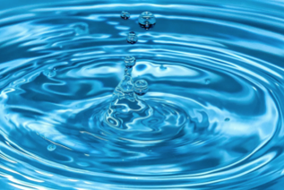 Северный сектор - удача в карьере