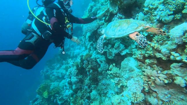 272f3b74f4b6e75aa5ed3f5276f25e2f