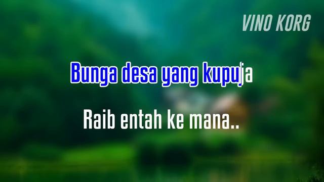 RAIB KARAOKE, RHOMA IRAMA