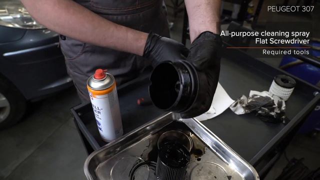 Peugeot: стиль, мощь, уникальный подбор