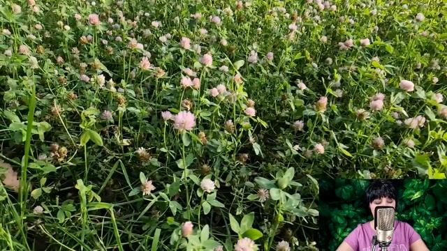 Перед свадьбой жених установил скрытую видеокамеру в спальню невесты. И когда она нашла камеру...