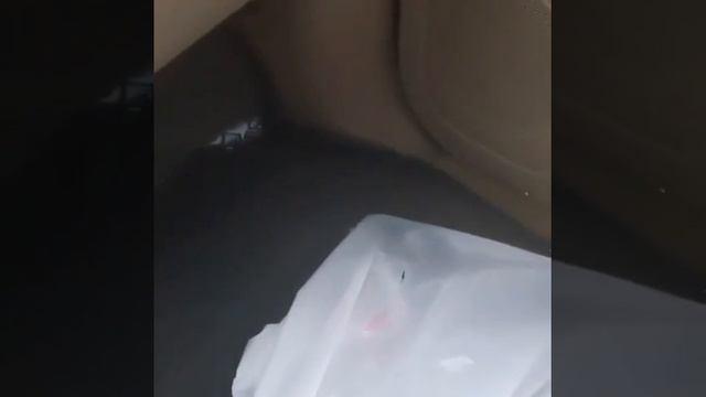 5901b1c8b97b9ca6b125de2a8ba9f0ad