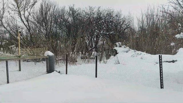 Завалило снегом / Дом в деревне