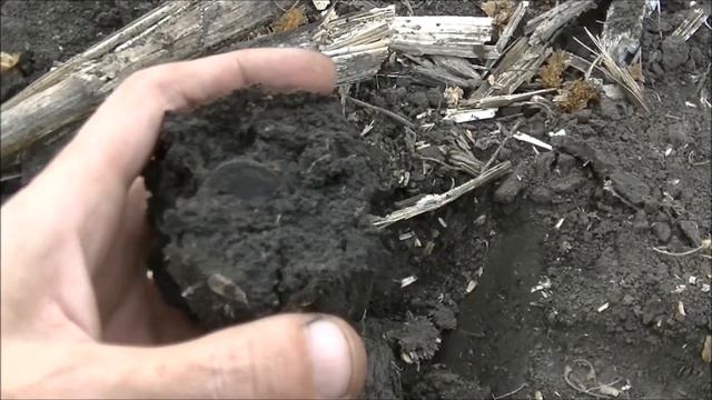 Проклятие   XP ORX