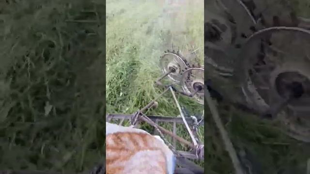 881e69f10117bff398d2d60b42e431d0