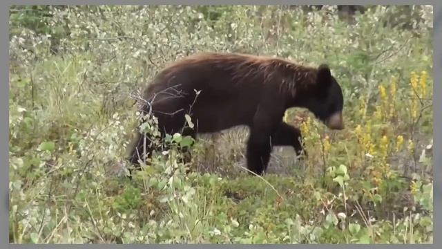 01d7fb5ee1627bb5f3fa0cb21d06379c