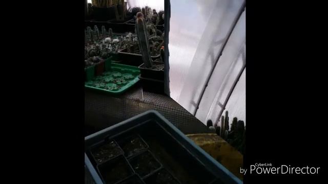 430575bc489f70bf59ecd4098febbb50