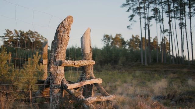 OUTDOOR VIBES | Canon EOS R6 With RF 35mm F/1.8