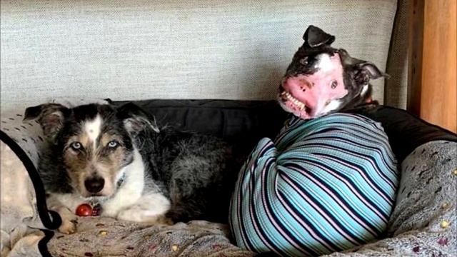 139a2a6ba8cfffdb37952fb94d4e9c04