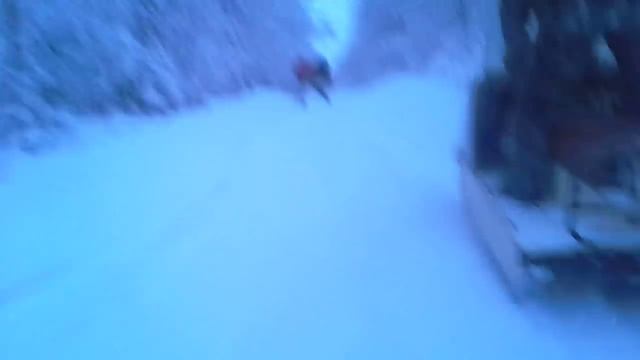 ушел с лыжни