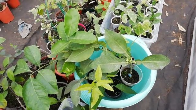 Строительные Вдохновения