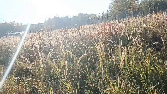 27.09.23. #утреннееутро прогулка