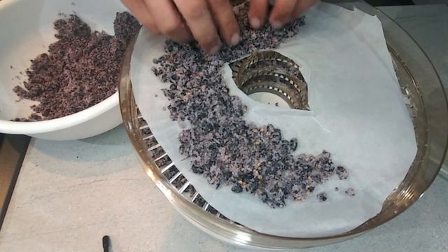 Scopri Il Gusto Unico La Videoricetta Del Sale Al Mirto Dello Chef Daniele Pinna Per Piatti Di Carn