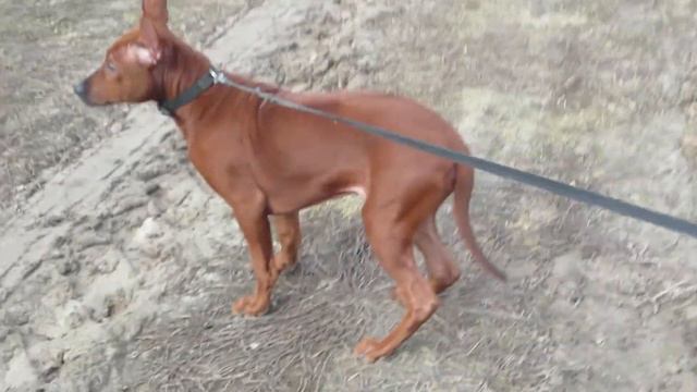 2c4616d208301d802d3a6411cb5d769c