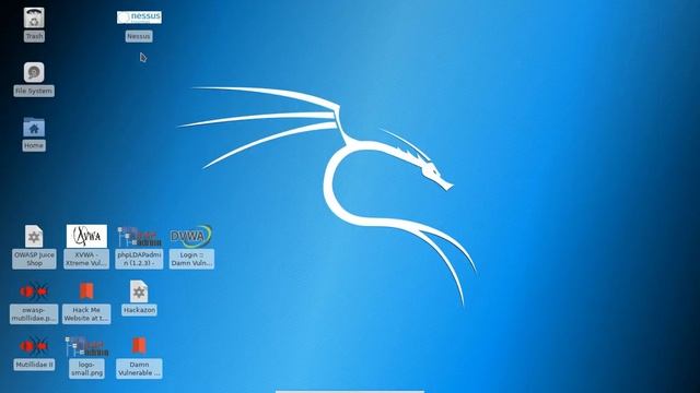 Kali 2019.4 Rdp W/ Vulnerable Docker Assets & Nessus Essentials