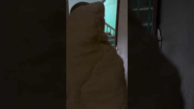 Когда дома и на улице холодно, а машина прогрелась