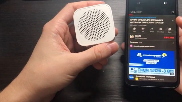 Xiaomi XiaoAI Portable Speaker 2 - Worth To Buy For 9$?!