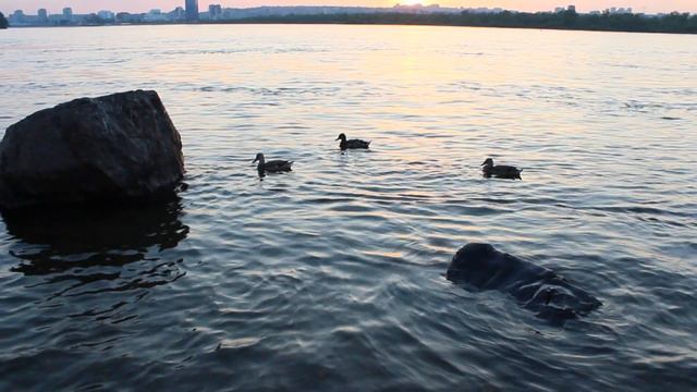 Зарисовка июнь 2017-