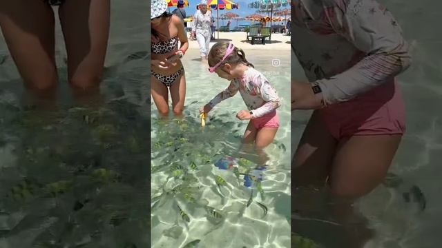 Jet Ski Excursion Phuket