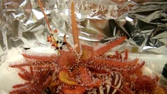 E86708afe0dda4848b5e259bbca0fb30