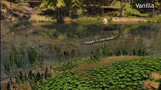 2ce996b3a8d0060856300a5526d4de5f