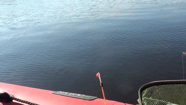 9a8e2ab3aae553bd5dca7f80043644d5