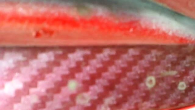 Как Сделать с Заботой