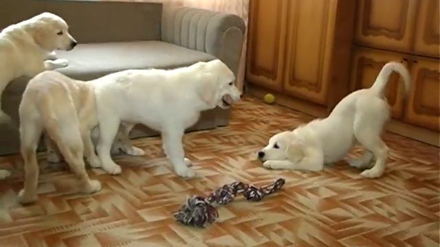 B8a4b3ed1eac27b5773aa28e5dc6f90f