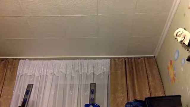 Видео C веб-камеры от  5 апреля 2015 г., 16:41 (UTC)