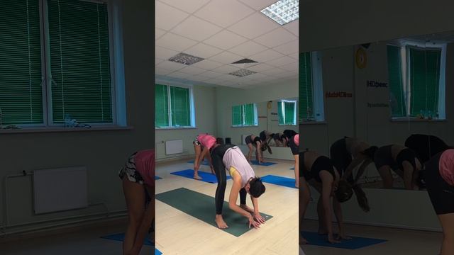 Fitness Yoga/ задняя поверхностная линия
