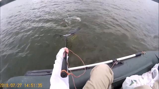 Сборник рыбалки: судак, щука и окунь