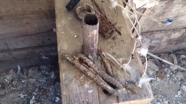 Коп на старой деревне и клубе.