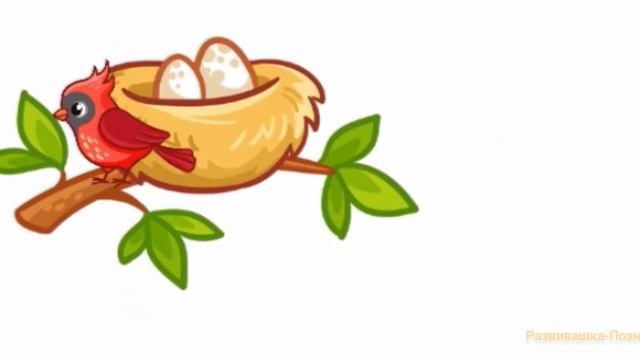 У кого чей домик? Ищем домик для животных