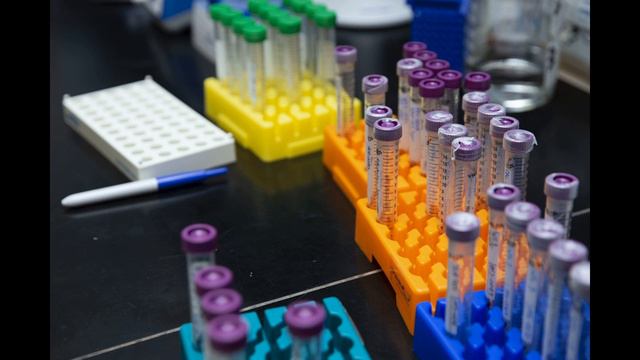 Фиброзы, опасные образования в органах, нарингенин