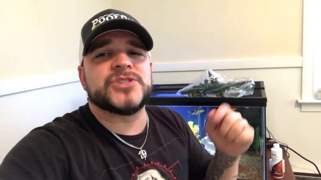 ARE YOU THE WINNER?! FREE AQUARIUM 'SUNKEN SHIP' GIVEAWAY #HOUSEBILLINGSGIVEAWAYS