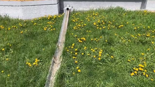 НАМОКЛА… ? влажный влог из жизни девушки