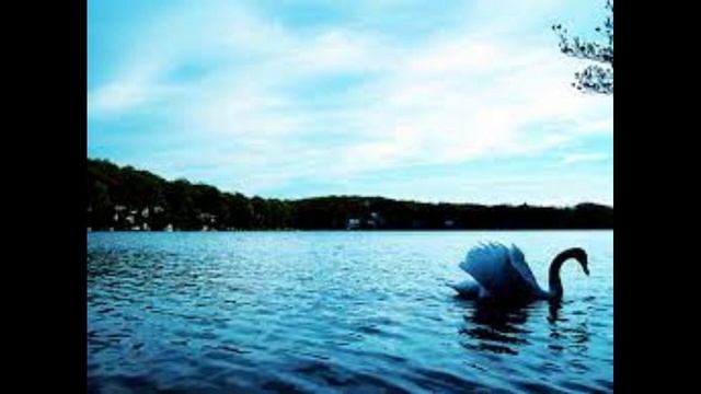 The Blue Danube Waltz