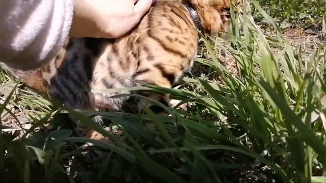 9c0fa19d2730bb441cb746c3d77fd60b