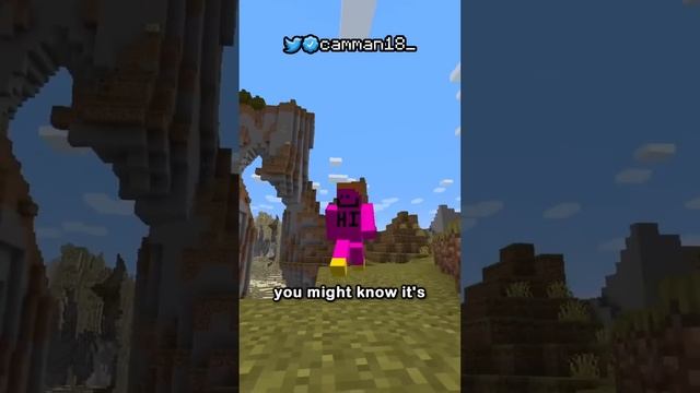 An Actual Good Minecraft Tip
